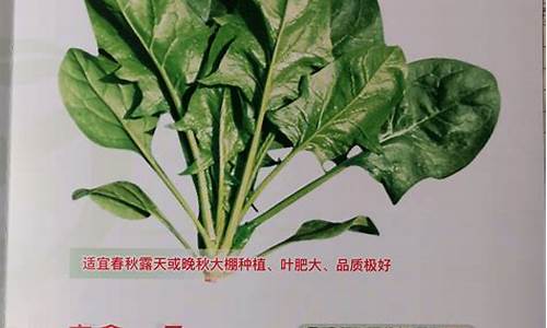 在线注册菠菜公司网(菠菜公司怎么赚钱) (24)